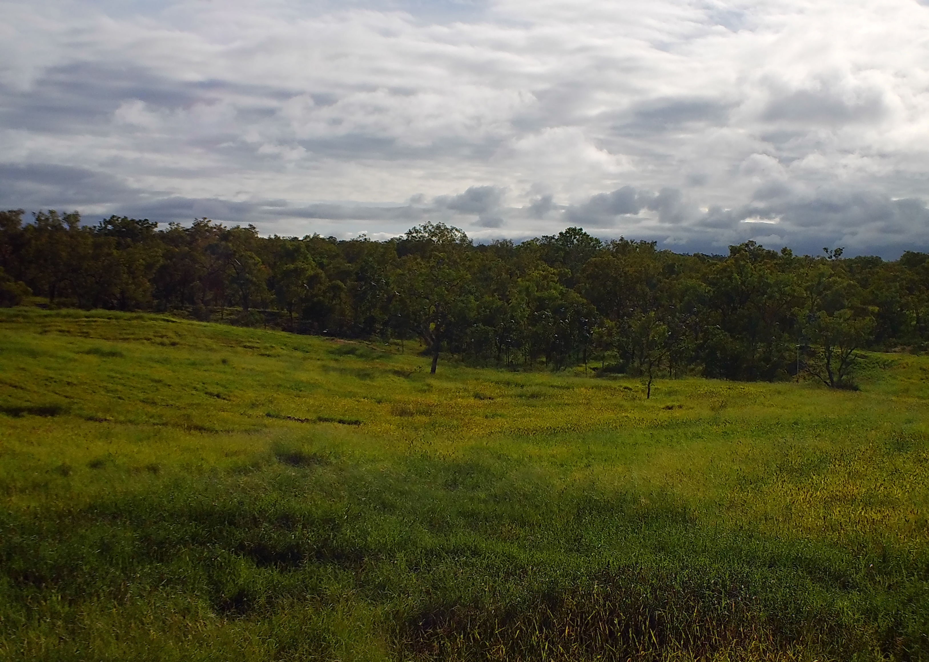 NRM Gully after