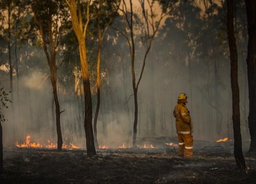 bushfire